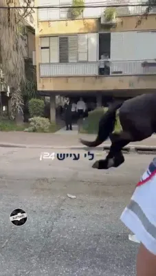 ריזיגע פראטעסטן אין בני ברק נאך ארעסטן פון בחורים