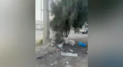 בעדואינע קריגן זיך צווישן זיך