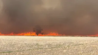 וואלד פייערן ווילדענען איבער טעקסאס ארום 155,000 עיקער.