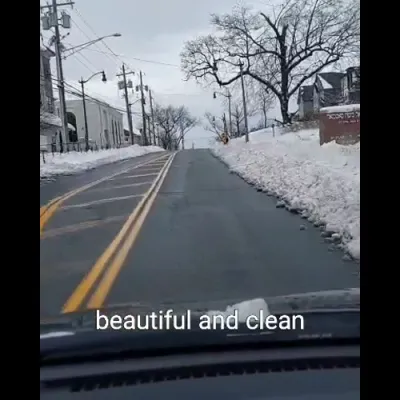 ספרינג וועלי שניי דיזעסטער 