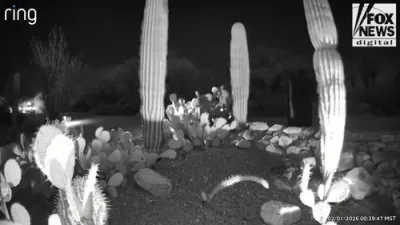 פרישע ווידיאו ווייזט פארדעכטיגטע קארס קומען אן צו די הויז פון די גאטרי פאמיליע