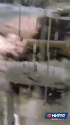 פולע שניי סצענעס אין וויליאמסבורג 