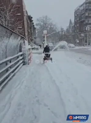 פולע שניי סצענעס אין וויליאמסבורג 