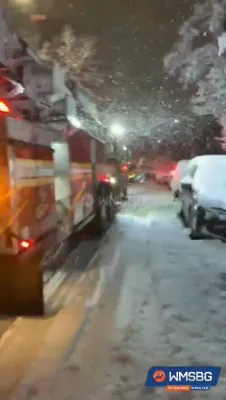 פולע שניי סצענעס אין וויליאמסבורג 