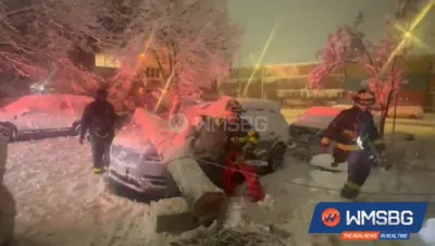 פולע שניי סצענעס אין וויליאמסבורג 