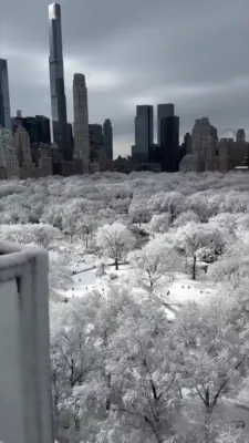 אויסקוק פון צענטראל פארק אין ניו יארק סיטי נאך דער שניי-שטורעם.