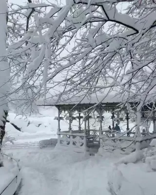 אלע סארט טשיקאווע סצענעס פון די שניי