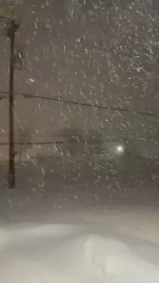 א גרוס פונעם בליזערד אינמיטן די נאכט