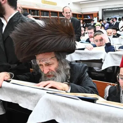 הרה"צ ר' אלימלך בידערמאן שליט"א - פרשת כי-תשא