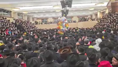 פורים אין בית המדרש גבוה אין לעיקוואד