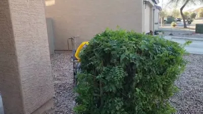 ווידיאוס פון פורים אין קאסא גראנדא 