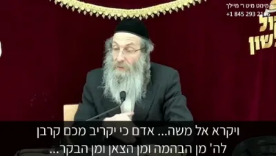 א מינוט מיט ר' מיילך שליט"א-יום ה' פרשת ויקרא א' ניסן תשפ"ו