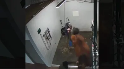 א פאריער אין מיזורי איז אפגעפירט געווארן אין שפיטאל נאכדעם וואס ער האט געכאפט א קאפע פון א פערד.