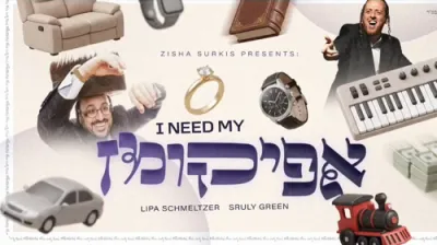 איך דארף מיין אפיקומן - ליפא שמעלצער - שרולי גרין 