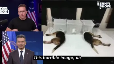 די FDA שטעלט אפ קאנטראווערסיאלע עקספערימענטן אויף "ביגעל" נאך שטורעמישע פובליק בעקלעש