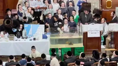 שיעור אויף תכלת ציצית אין ק"ק סאטמאר וויליאמסבורג דעם חול המועד