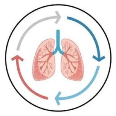 א אינהאלטסרייכע שמועס וואס טוט זיך אינטער די קוליסן פון סירקולער ברעטווארק - דורך הרב שלמה יום טוב גערמאן פון חיים טובים (ענגליש)