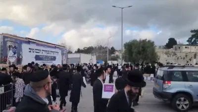 די גרעסטע חלוקת קמחא דפסחא בעיה"ק צפת 