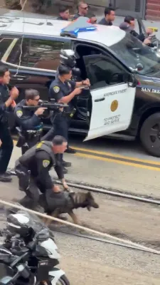 א פאליציי הונט העלפט ארעסטירן א באוואפנטן פארדעכטיגטן נאך א מעסער אטאקע אין צענטער פון סאן דיאגא.