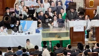 בילדער און ווידיאוס: מעמד תכלת ציצית בביהמ"ד הגדול ד'סאטמאר וויליאמסבורג חוה"מ פסח