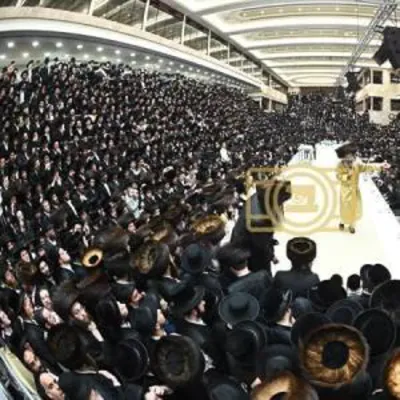 הרה"צ ר' אלימלך בידערמאן שליט"א - פרשת תזריע- מצורע