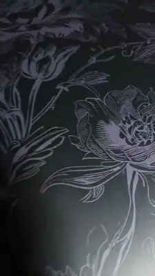 שרולי גרין האט זיך איינגעהאנדעלט א בעקיטשע קאר...