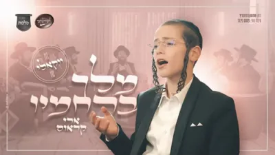 ווקאלי - מקהלת מלכות, ארי קראוס, חסידימלעך - מלך ברחמיו