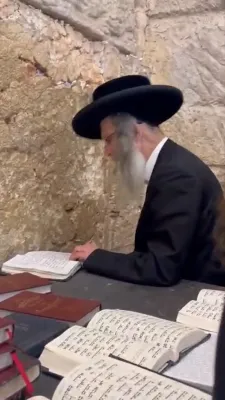 הרה"צ רבי אלימלך בידערמאן שליט"א זאגט נשמת מיטן ציבור נאכן זאגן תהלים