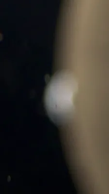 די "ארטעמיס 2" מיסיע פון נאסא האט אפגעכאפט א זעלטענעם בילד פון די וועלט אין א געשטאלט פון א האלבע לבנה, בשעת עס ווערט פארשווינדן הינטער די לבנה.