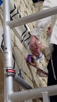 חסידים ואנשי מעשה ביים פריש איבערפארבן ווי יאר יערליךדי הייליגע ווערטער העכער דעם אריינגאנג צום ציון פון התנא אלוקי 
