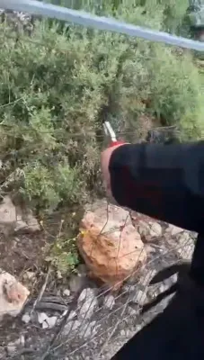 פאליציי אין ארץ ישראל האבן ארעסטירט אפאר חברהלייט וועלכע האבן געשניטן די זיכערהייט צוימען ארום מירון