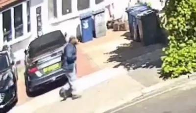 שרעקעדיגע ווידיאו פון די סצענע אין גאלדעס גרין