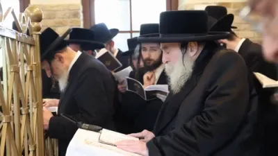 כ"ק אדמו"ר מתולדות צבי ספינקא שליט"א ביים ציון הקדוש אין צאנז