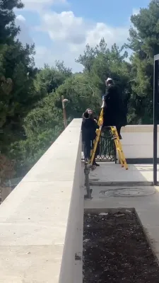 פולע סצענעס: טענץ, הדלקות, און תפלות, אין הר הקודש מירון