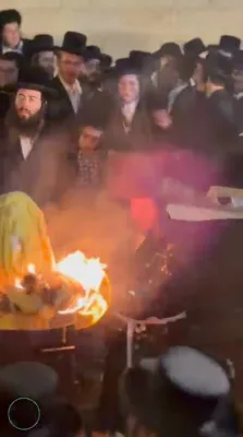 לג בעומר בצל צינור השפע כ"ק אדמו"ר מקרעטשניף כפר עטה שליט"א 
