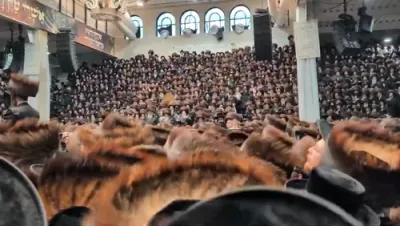 ערשטע בילדער: היסטארישע מעמד הכנסת ספר תורה דורך כ"ק אדמו"ר מסאטמאר שליט"א 