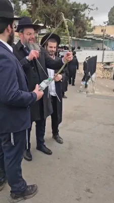 לעבעדיג פון מירון נעבן ציון