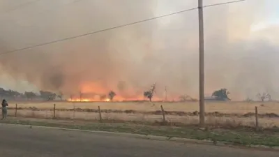 טעקסאס פייערלעשער פייטן קעגן א וואלד פייער 