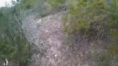 פאליציי כאפן א גרופע אומלעגאלע אימיגראנטן אין טעקסאס