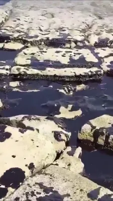 אן אויסגוס פון 80,000 פעסער אויל נעבן איראן'ס "כארג" אינזל שלעפט אראפ דעם מצב אינעם פערסישן גאלף פון שלעכט צו פיל ערגער.