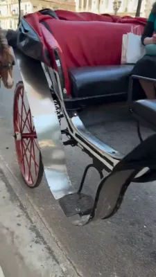 אייגענארטיגע סארט הכנסת ספר תורה