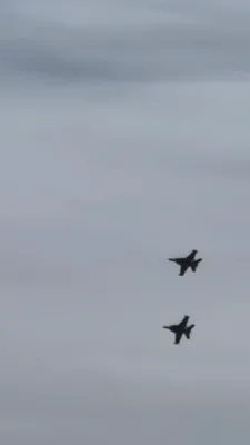 אן אנדערע קוק ווינקל: צוויי 'גראולער' דזשעט פליגערס פון די אמעריקאנער נעיווי האבן זיך צוזאמגעשטויסן אינמיטן די לופט, אלע פיר פילאטן האבן ארויס געטאנצן בשלום.