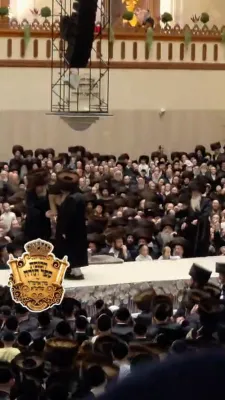 ווידיאוס פון די הכנסת ספר תורה יעצט ערב שבועות בחצר הקודש וויזניץ 