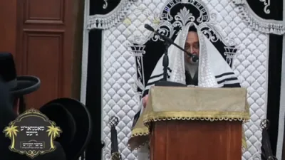ווידיאו: כ"ק אדמו"ר מסאטמאר שליט"א רעדט איבער די שעדליכקייט פון עי איי