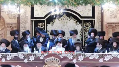 בילדער און ווידיאוס: יו"ט שבועות בחצר הקודש וויזניץ