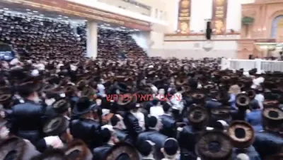 בילדער און ווידיאוס: יו"ט שבועות בחצר הקודש וויזניץ