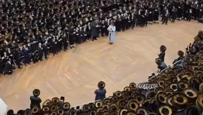 ערשטע בילדער און ווידיאוס פון שמחת החתונה פון אייניקל פון כ"ק אדמו"ר מבאבוב שליט"א 