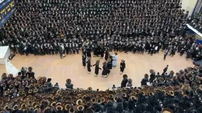 ערשטע בילדער און ווידיאוס פון שמחת החתונה פון אייניקל פון כ"ק אדמו"ר מבאבוב שליט"א 