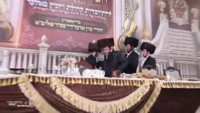 הערליכע ווידיאו פון כ"ק אדמו"ר מוויזניץ שליט"א אין אלעד