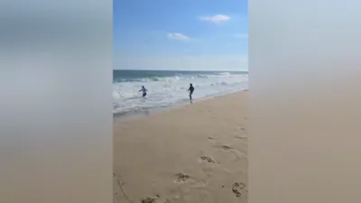 אומגלויבליך: א פיש כאפער האט באוויזן צו כאפן א ריזיגן 300-פונטיגן "גרעיט ווייט" שארק מיט די בלויזע הענט.